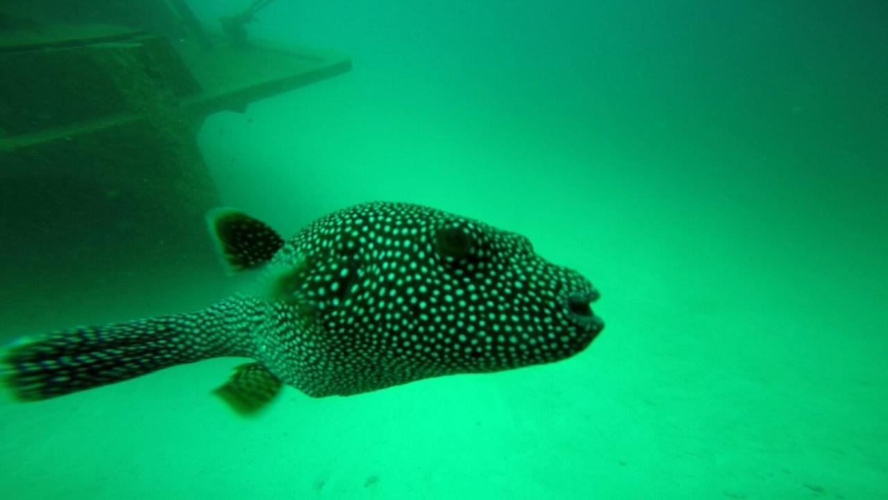Sky Beach Maldives - Dhiffushi Buitenkant foto